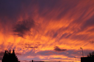 Donnerstag Abend 10.Okt.