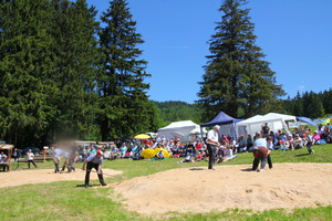 Frauen- Alpschwingfest Kohlwald Rieden, 7.6.14