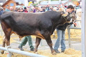Jahrmarkt Kaltbrunn, 5./6. Oktober 2016