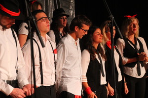 Vollchorn Sommerkonzerte Gommiswald, Fr. 16.6.17