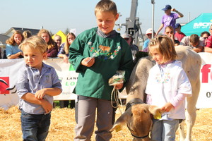 Mittwoch Nachmittag 10.10.18