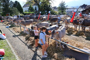 Vormarkt Kaltbrunn Mi, 4.10.